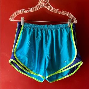 Nike Blue and Green Athletic Performance Shorts